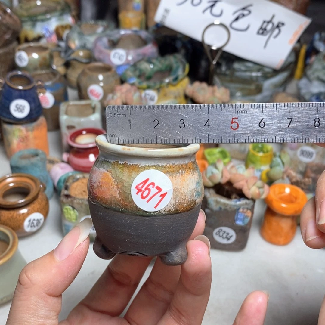 拍5送一个小礼物