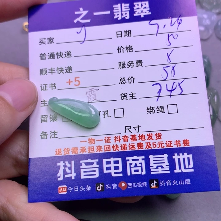 颈饰未镶嵌翡翠y*环