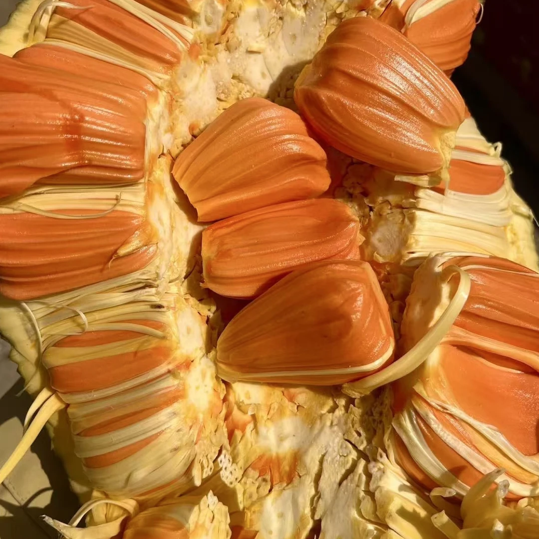 果切特级巨巨巨甜印尼红菠萝蜜15斤左右（整个发）