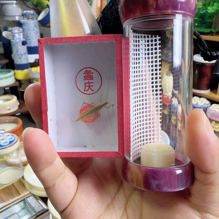 粉色竹蛉筒套啊啊啊啊啊