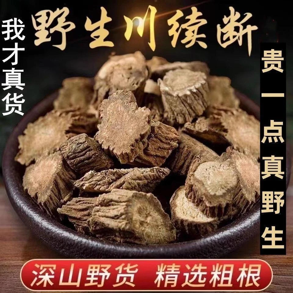 四川正宗野生川续断泡水喝茶川断续片无硫川断男性滋补深山泡水