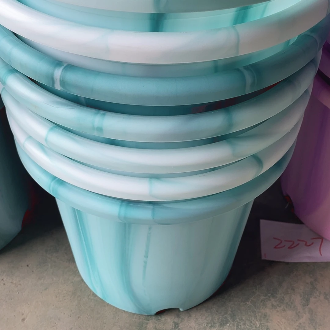 编号是081号的081号的