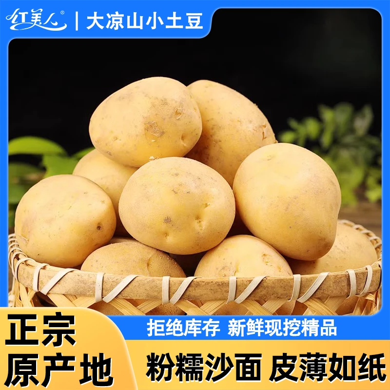 粉糯洋芋小土豆新鲜马铃薯农家黄心洋芋现挖蔬菜马铃薯