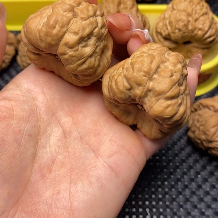 桃核吊坠科*_蛤蟆头……