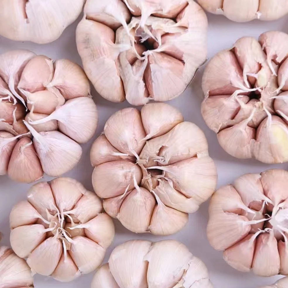 大集现收农家大蒜