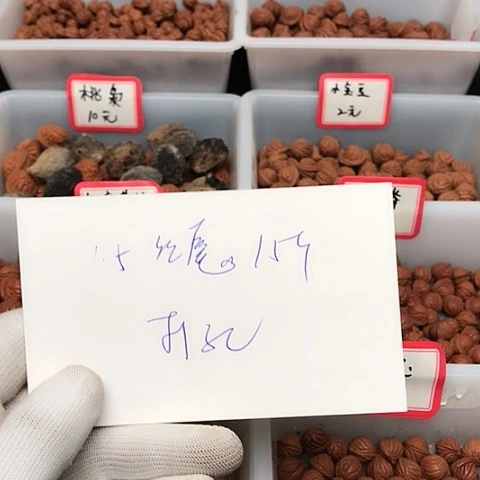 桃核吊坠M****G龙纹桃核的搭配