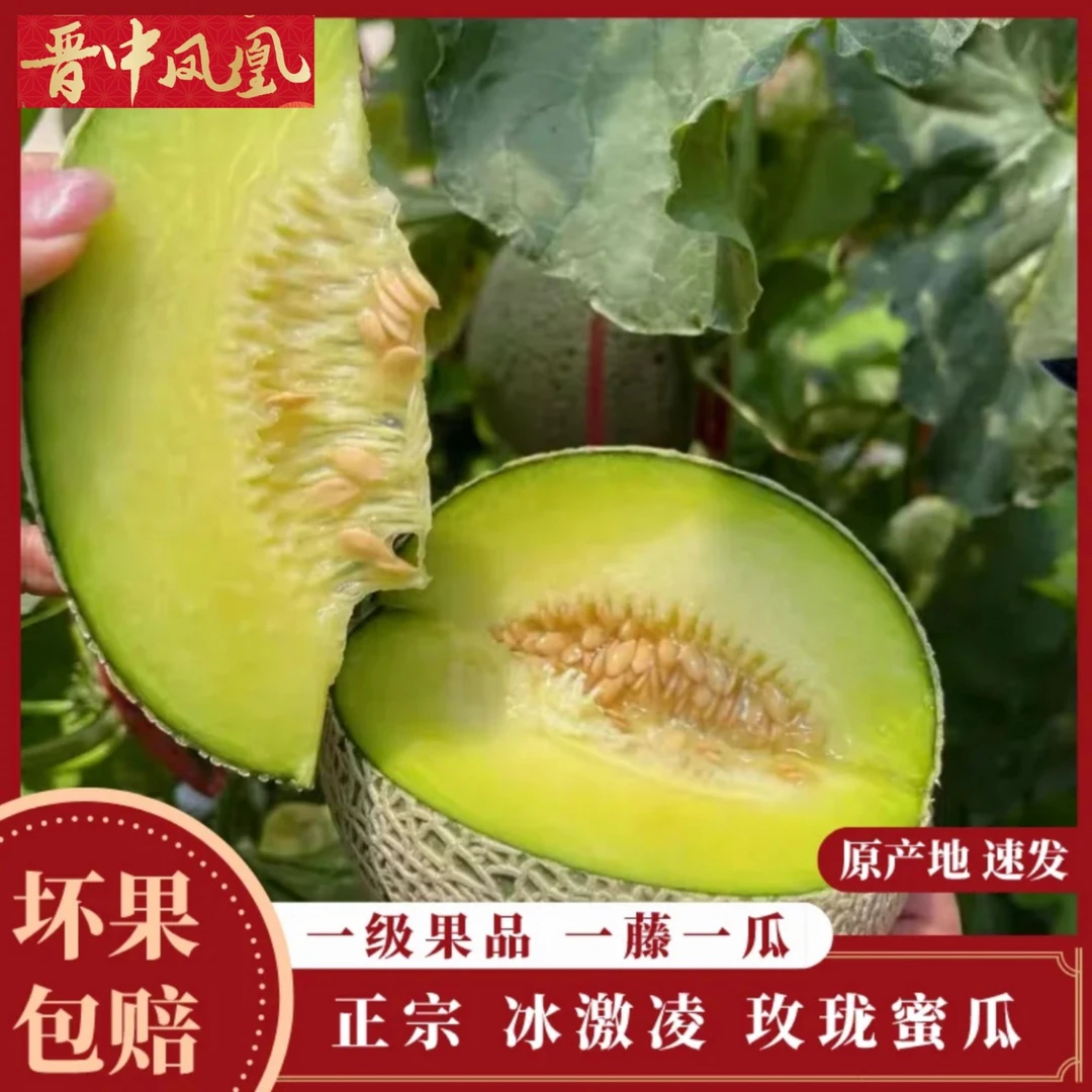 正宗海南玫珑网纹蜜瓜冰激凌甜瓜牛3蜜瓜软糯香甜应季热带水果