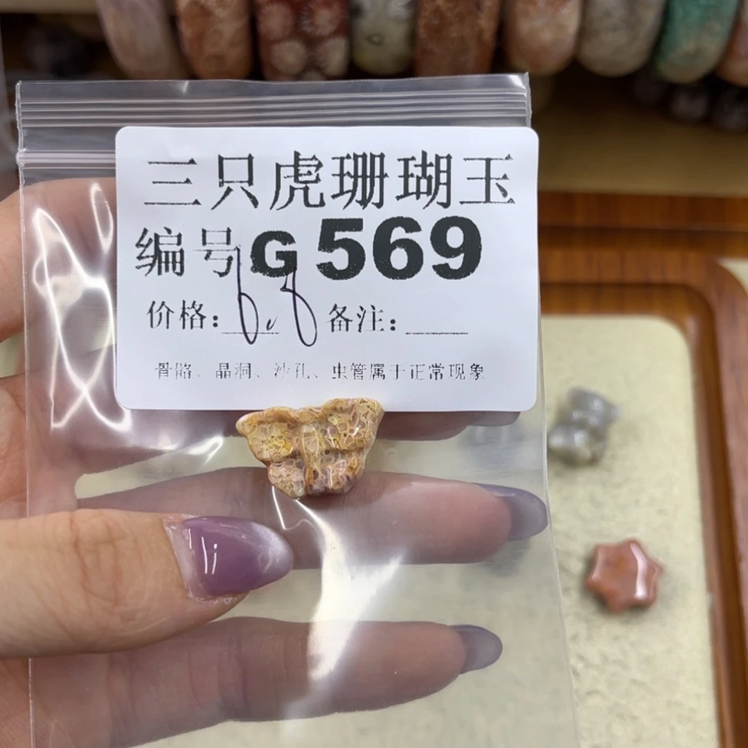 娜***⁴硅化珊瑚（珊瑚玉）未镶嵌h