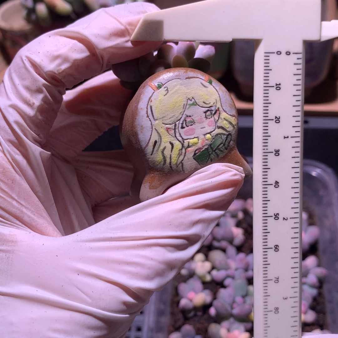 瑶花盆嚯哈哈哈哈哈