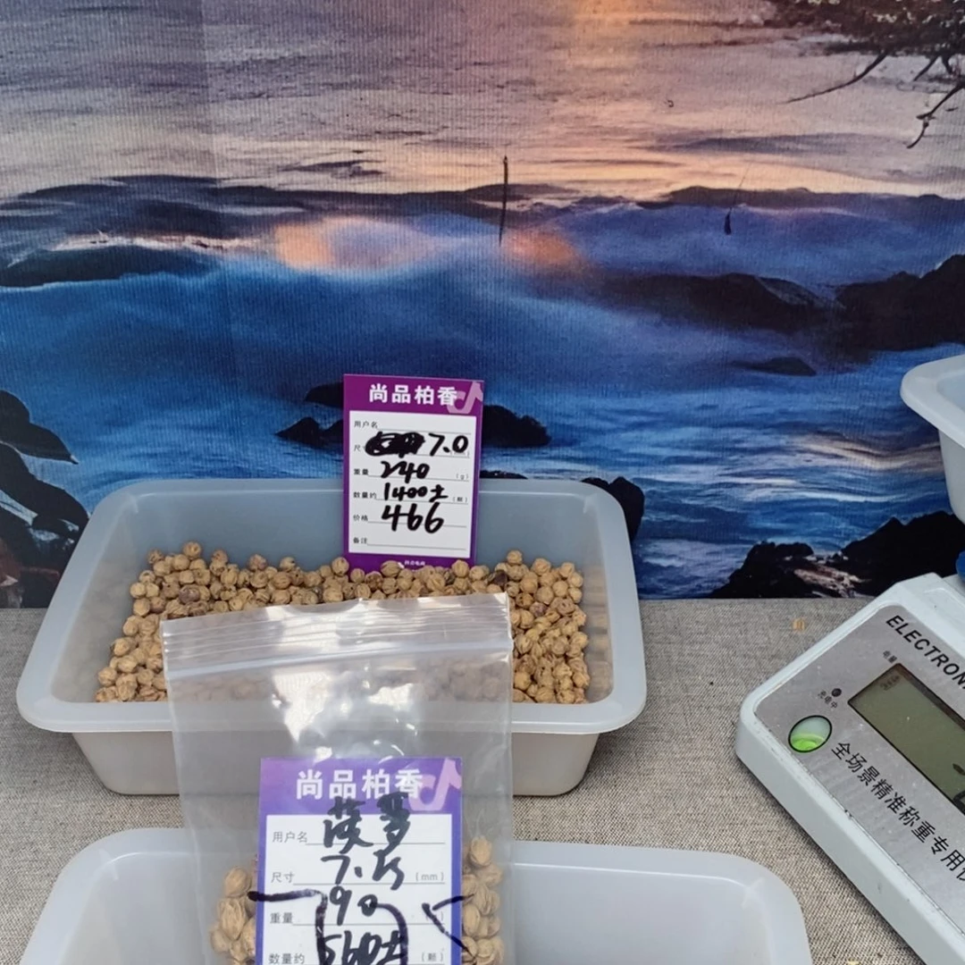 柏香籽/百香籽吊坠菠*