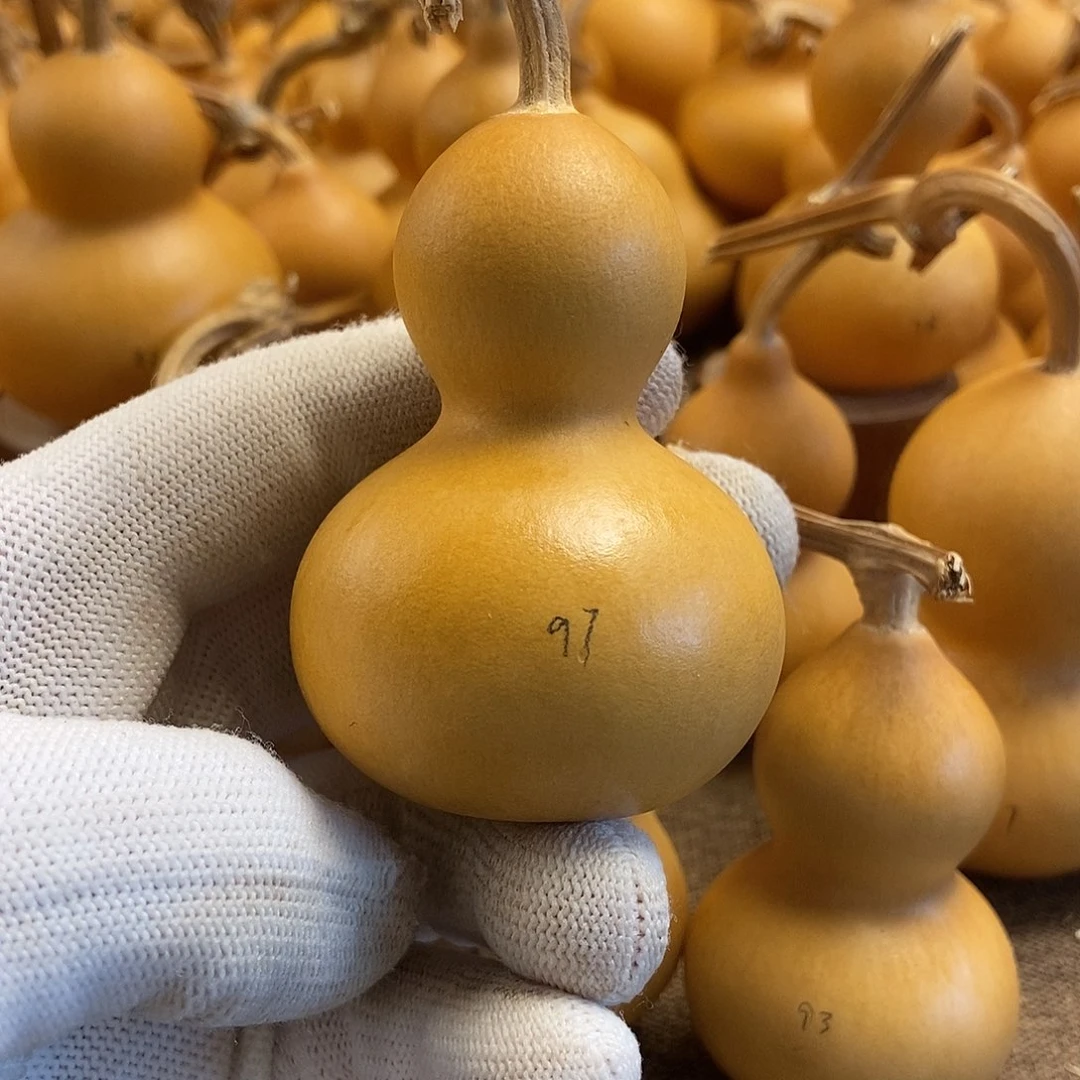 文玩葫芦 完美主义者 慎拍97