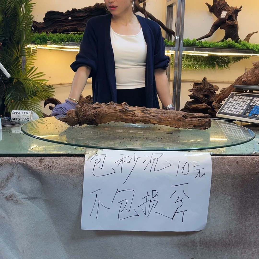 柚木玉***艺沉木鱼缸造景