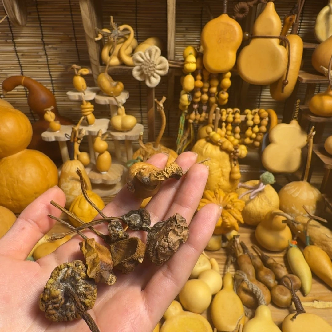 大****戈瞅瞅必须瞅瞅挨骂后抽