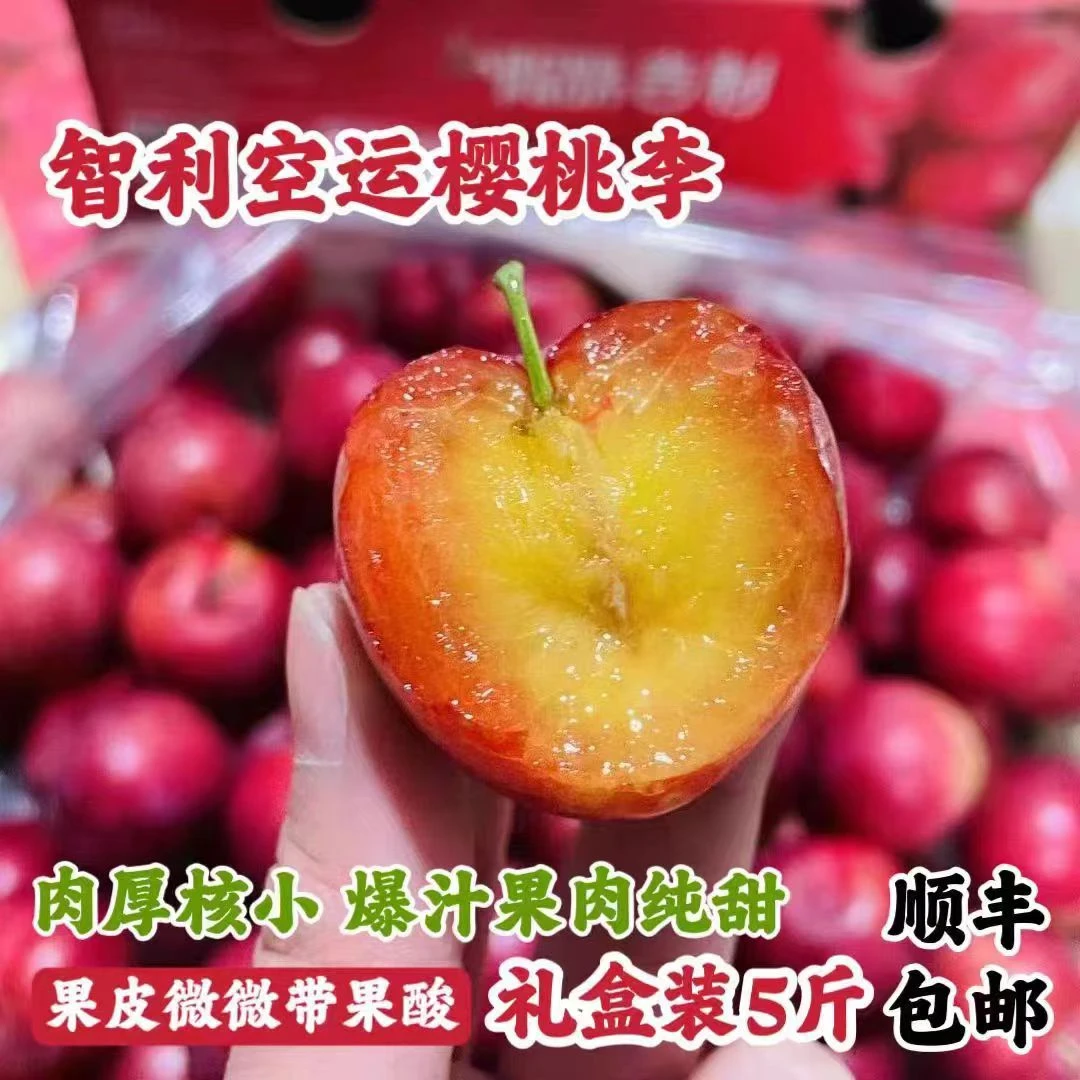3J智利原装进口樱桃李，净重2500克.红灯智利