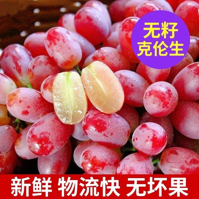 顺丰包邮大凉山克伦生无籽红提精品葡萄新鲜应季水果葡萄提子