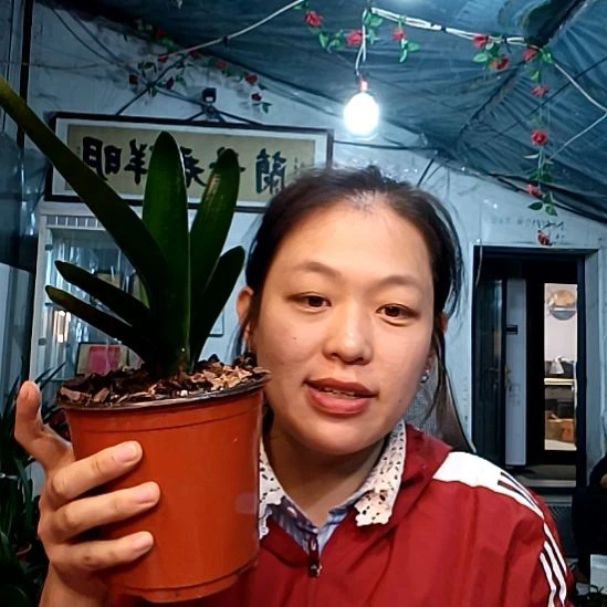 坐王一颗福利价。。。