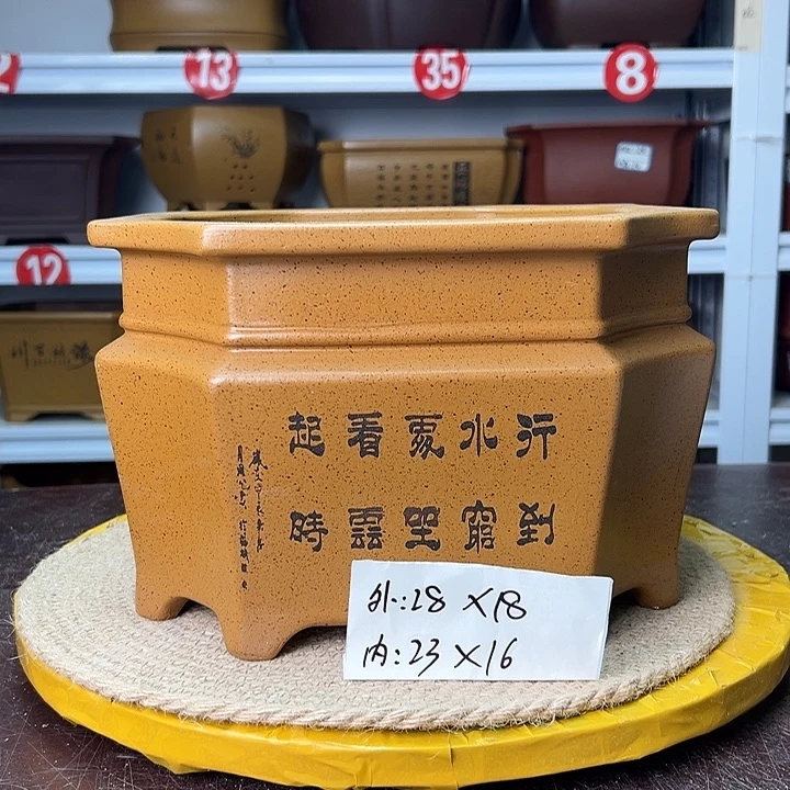 花盆紫砂蛇年大吉