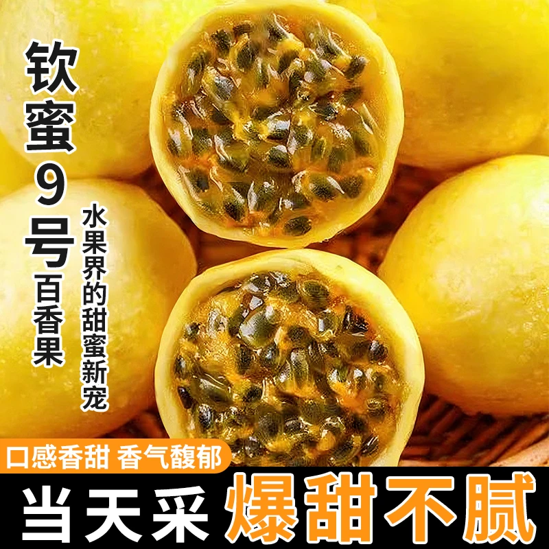 原产地直发钦蜜九号黄金百香果现摘Z