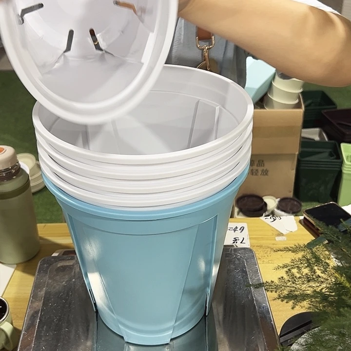 青山口24高24混色无托6个