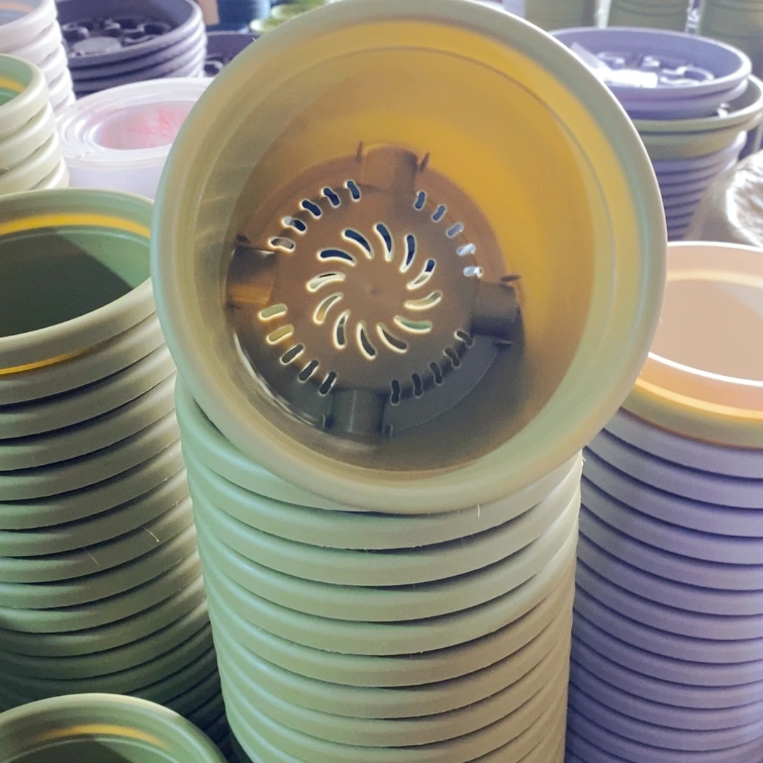 树脂特价2号无拖果绿13个