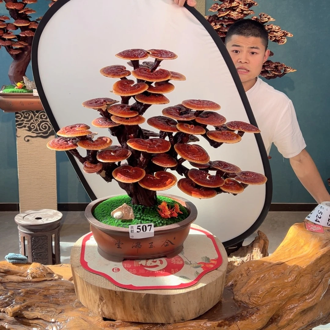 无花朵888888888888