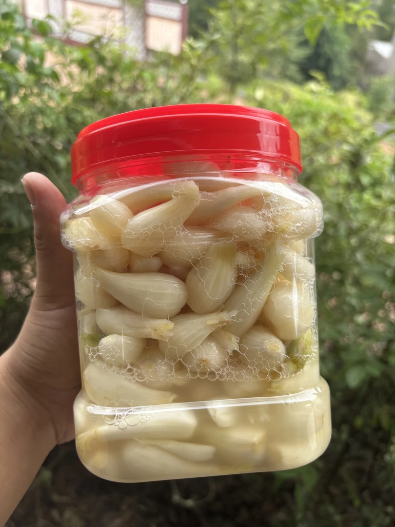 农家自做——泡葱果