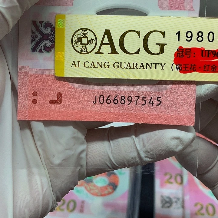 一张一张一张一张一张一张