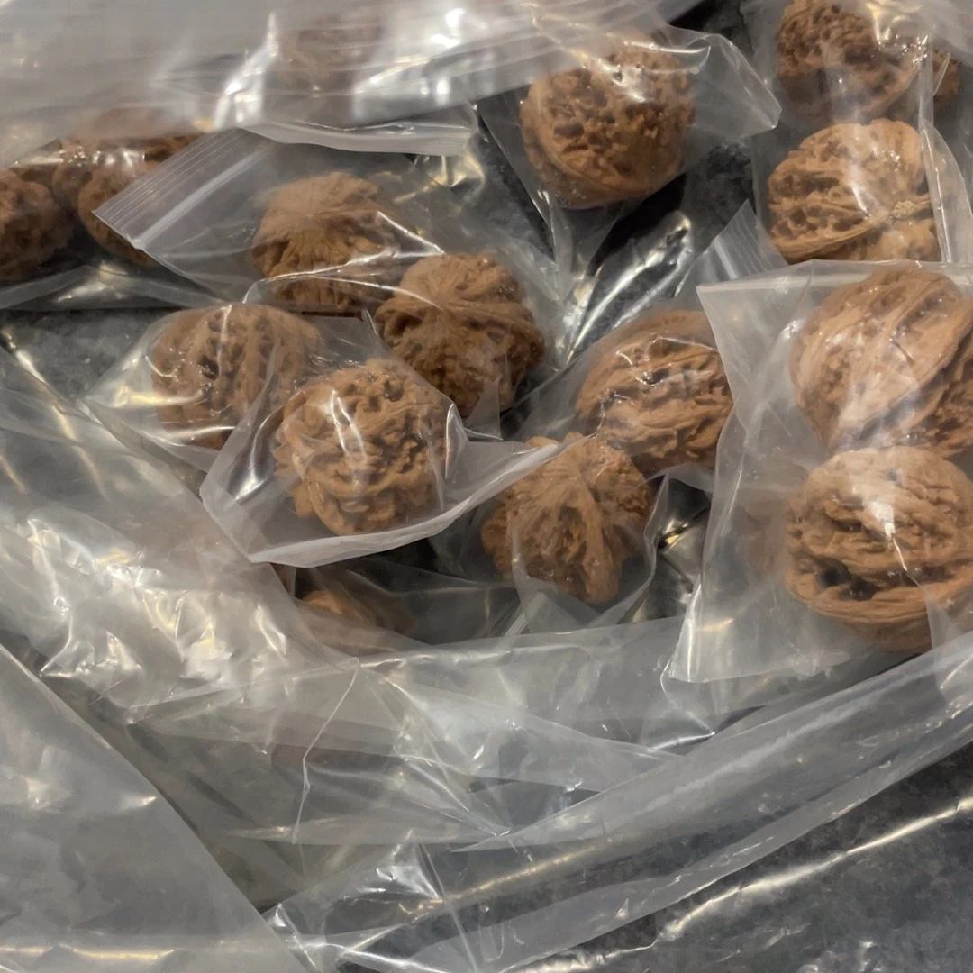 核桃全品大粗筋（歪）