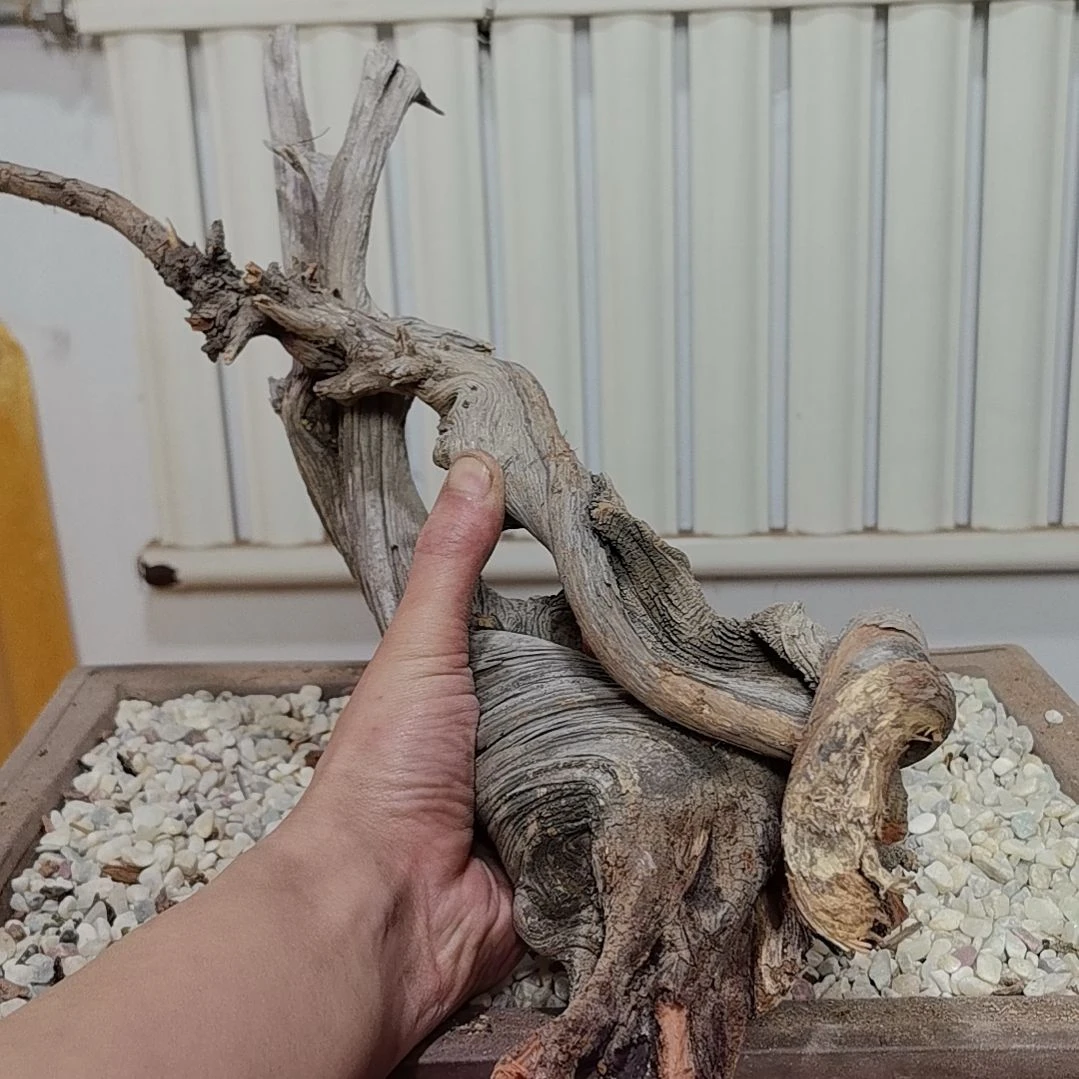 檀香紫檀（小叶紫檀）古**香