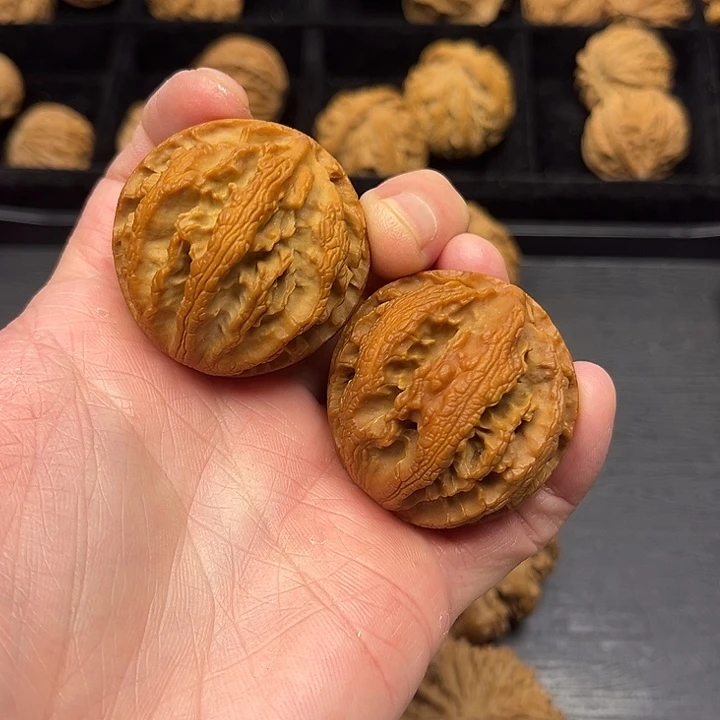 木质类秦岭突突突突突突突