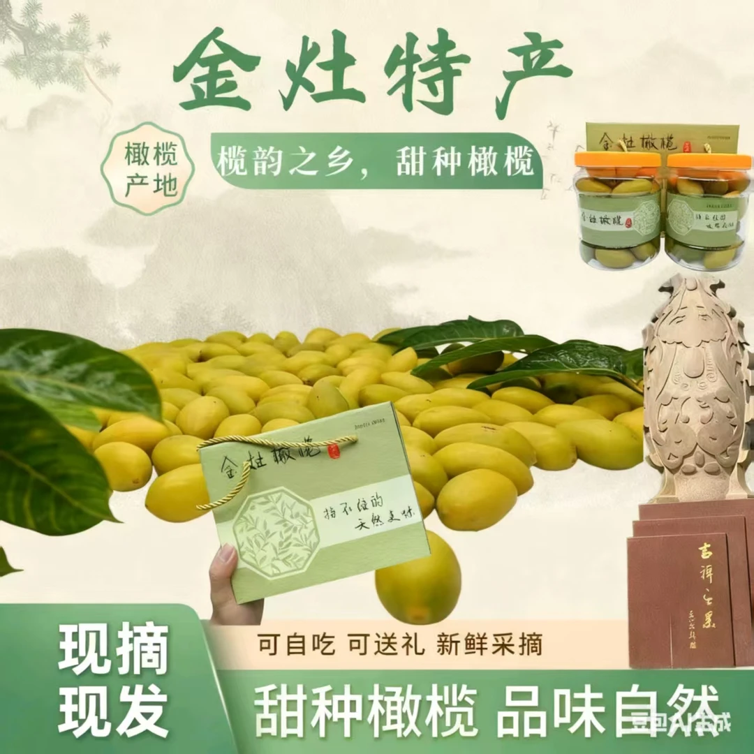 正宗潮汕金灶甜种新鲜橄榄潮汕特产可生吃煲汤无渣口感清甜