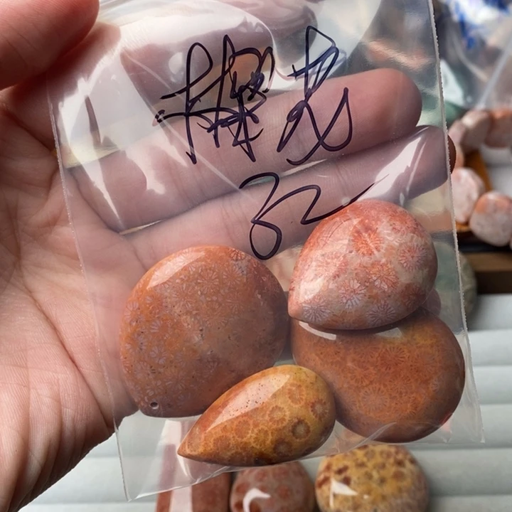 *****硅化玉未镶嵌珊瑚玉