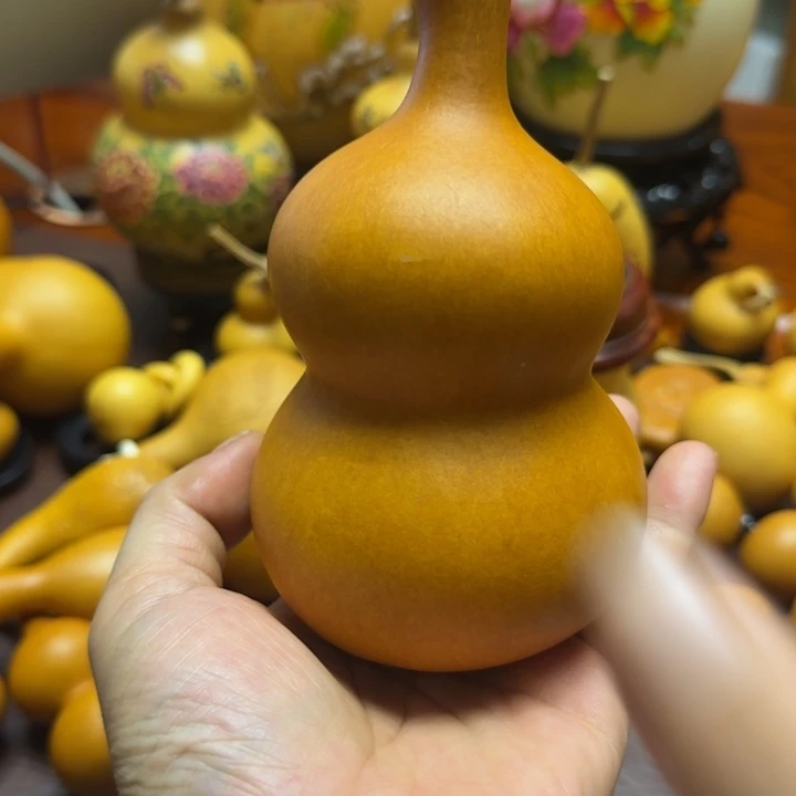 镜***月精品课程等教学内容进行