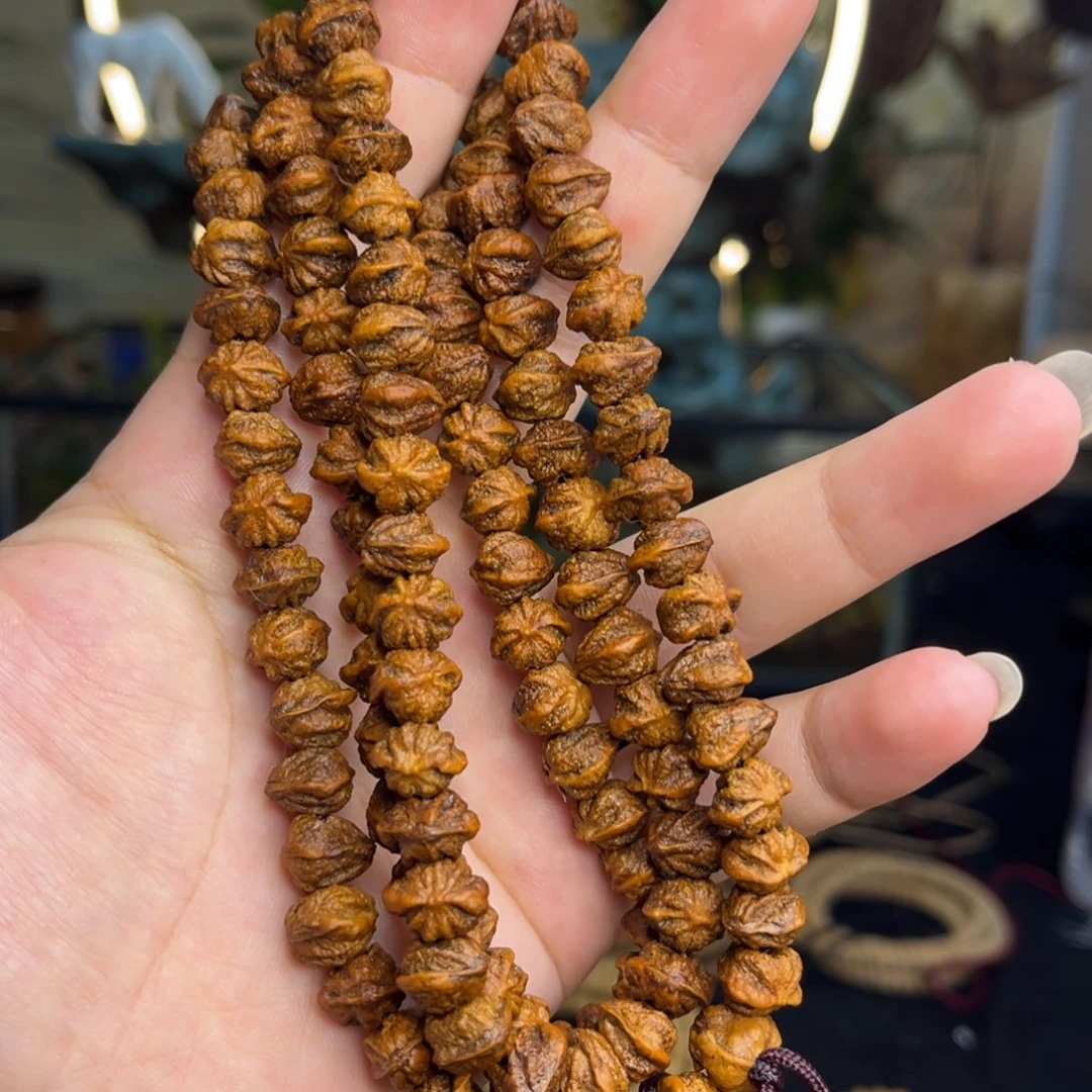 柏香籽/百香籽手串原装横打红芽