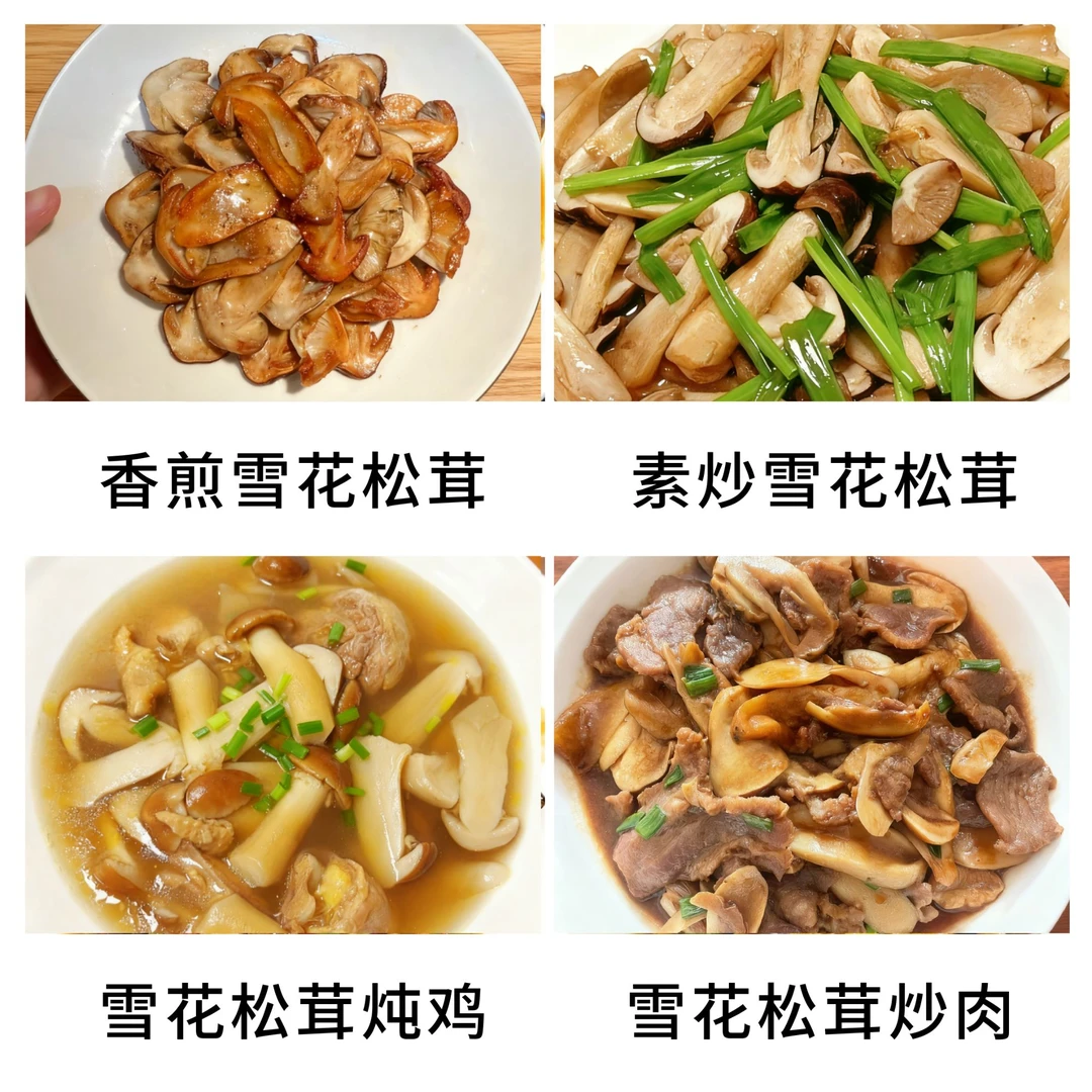 雪花松茸菇云南菌菇干货高原特产煲汤嫩滑爽口营养丰富125克/袋