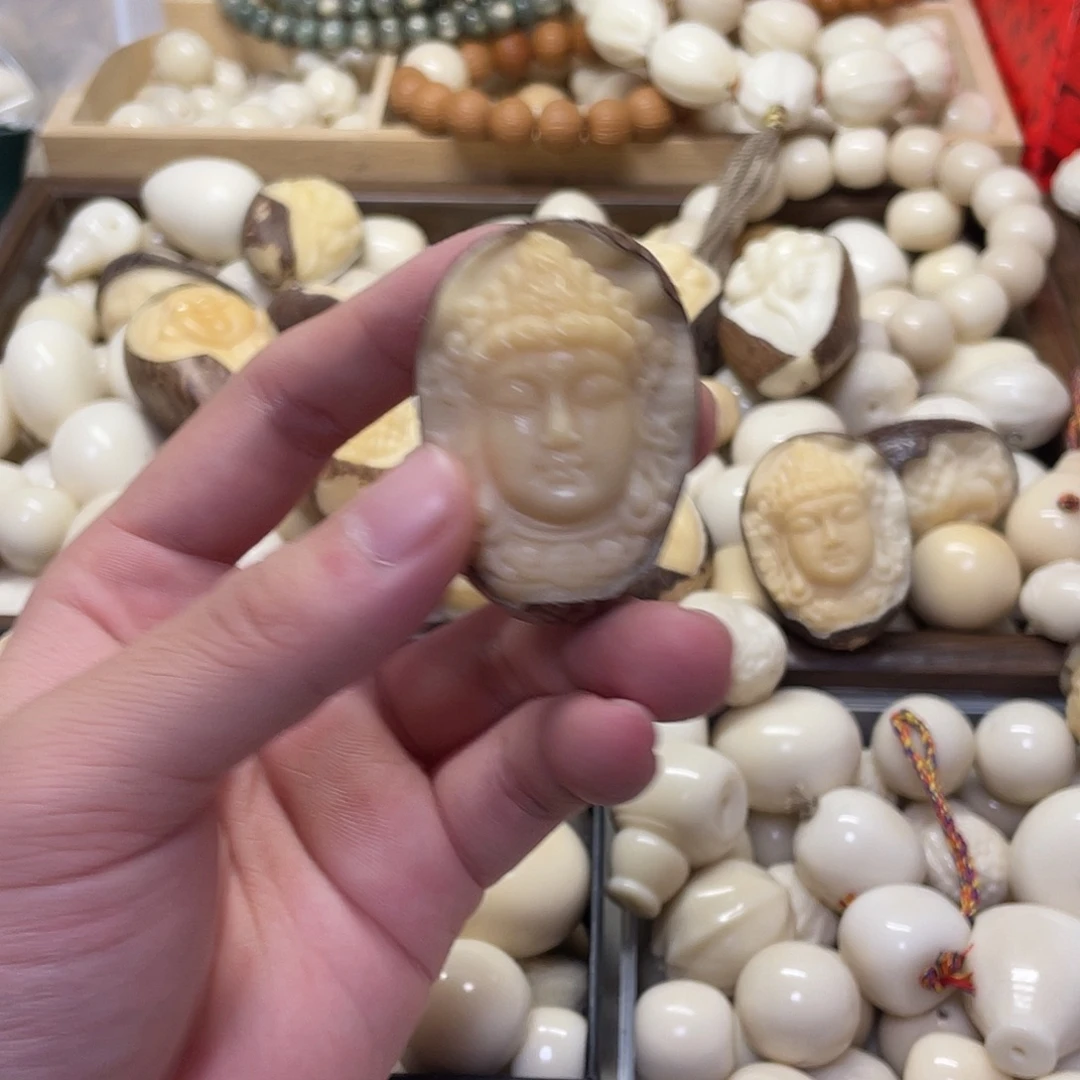 豆***阿吊坠菩提根/象牙果
