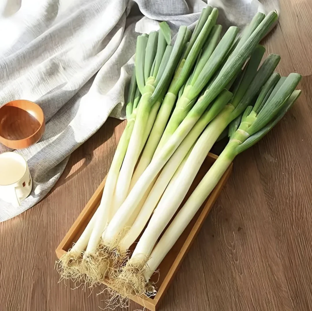 【中国供销】山东铁杆大葱  现挖现发农家自种生吃蘸酱三分甜七分辣