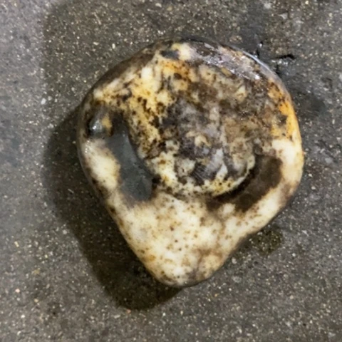 未镶嵌和田玉（糖玉）挂件