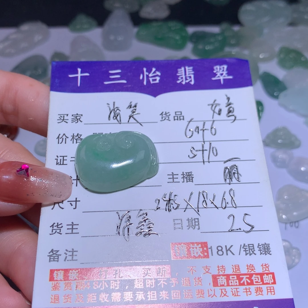 翡翠颈饰未镶嵌浅****气如意