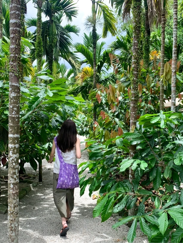 浪漫紫藤法式小众花花单肩斜挎包春夏新款时髦小姐姐出游通勤布袋