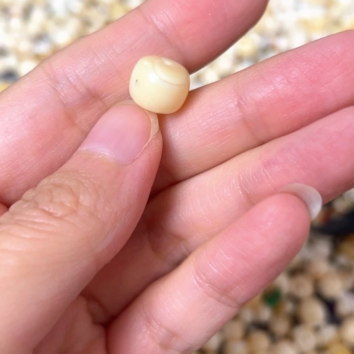 裸石蜜蜡未镶嵌10.3mm一个