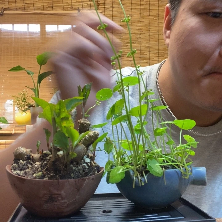 一物一拍所见即所得350