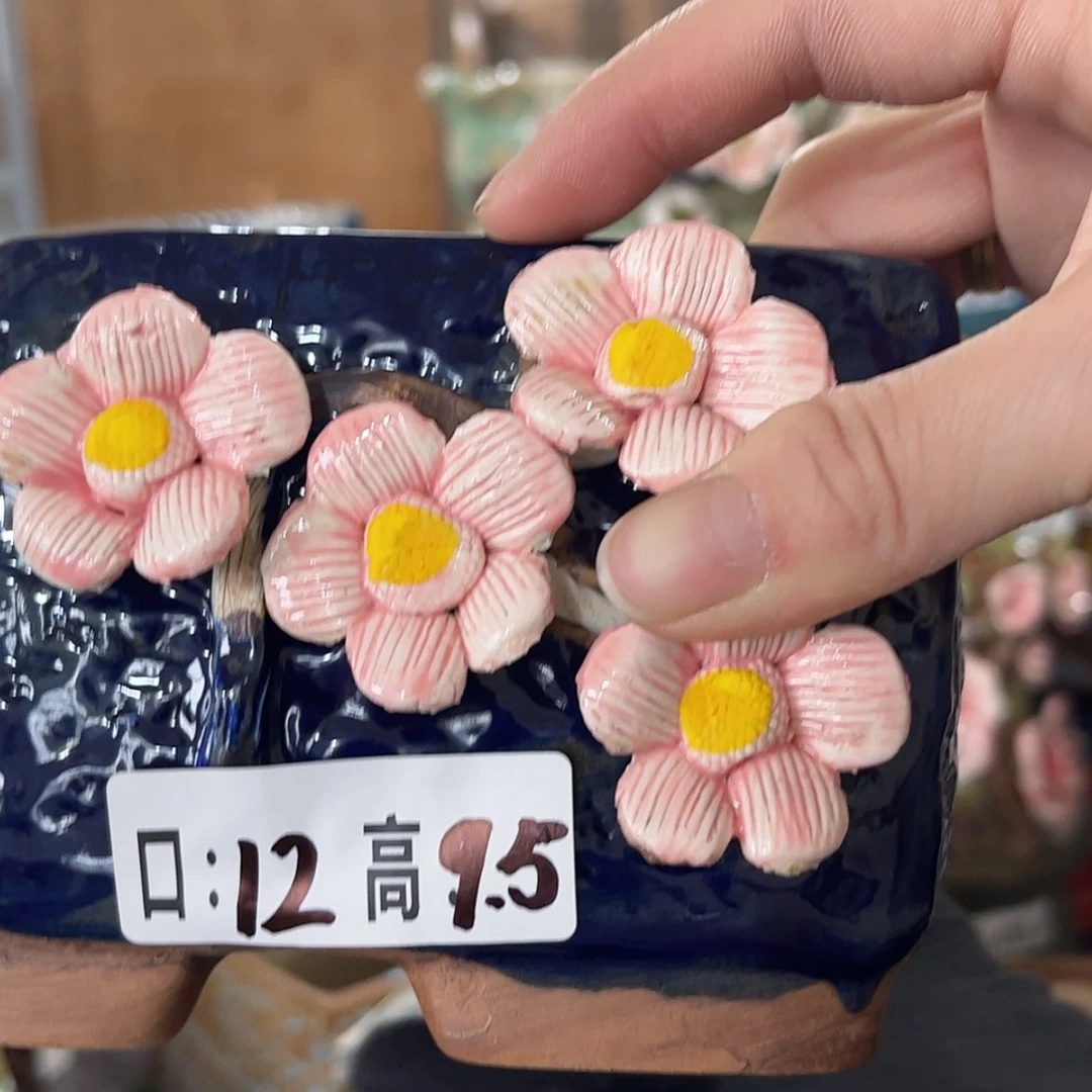 【闪购商品】红陶福利