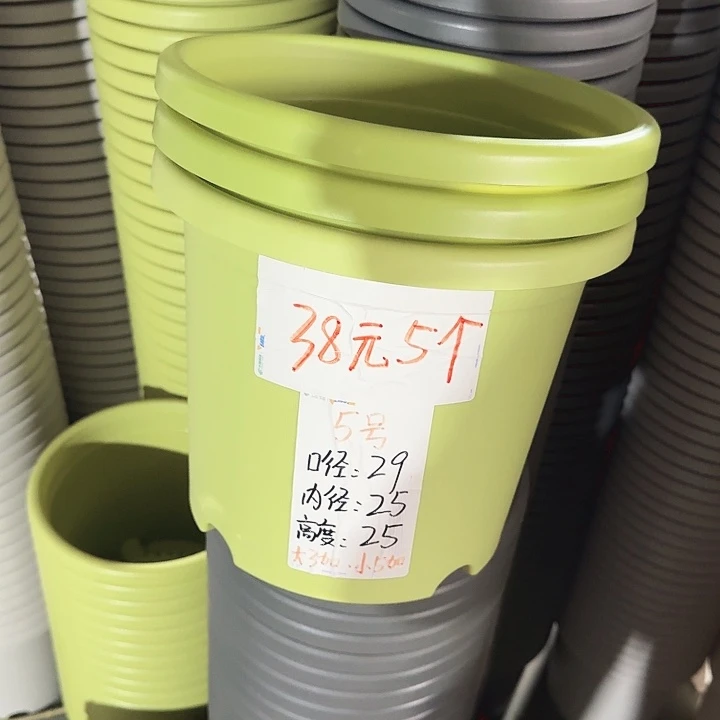 四季5#口径29果绿10个无托