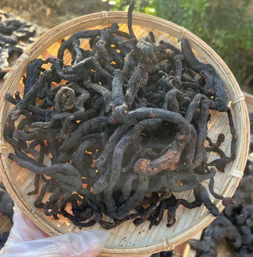 野生玉竹自然蒸晒手工炮制可直接吃可泡水喝