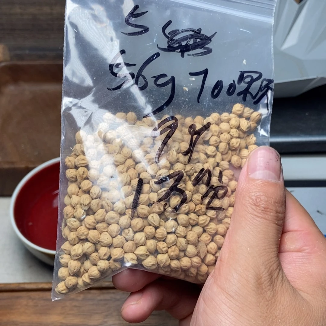 柏香籽/百香籽吊坠年****生
