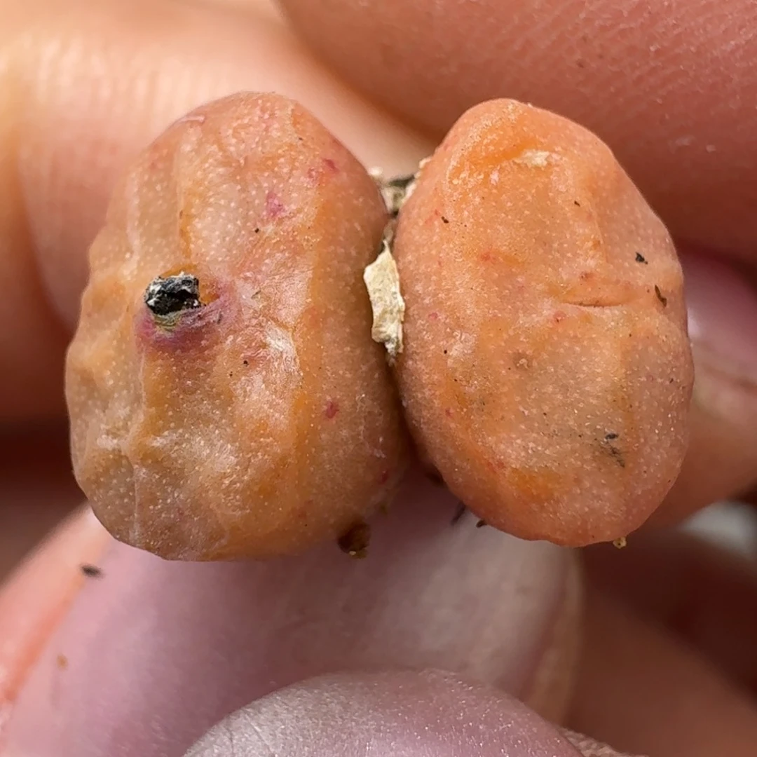 220一颗00000000000