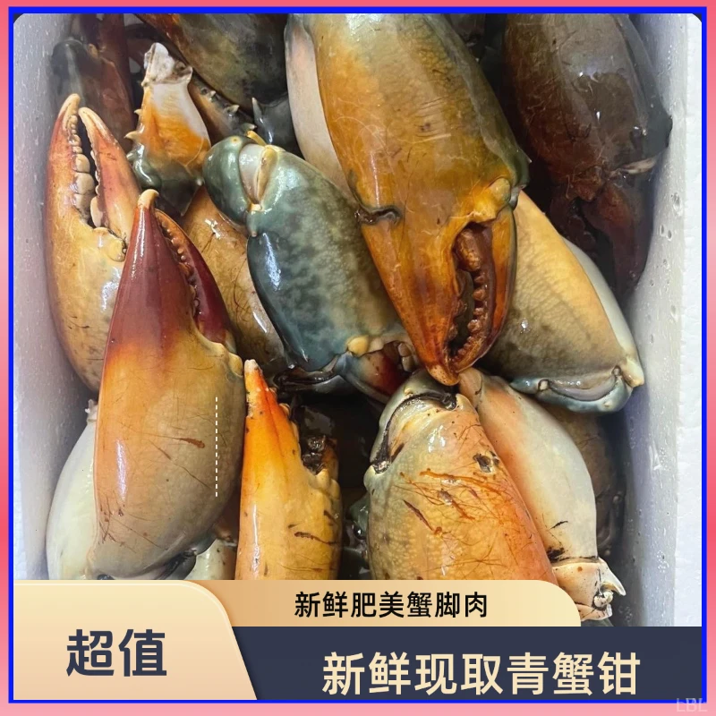 新鲜青蟹腿特大蟹钳鳌大肉多海鲜水产活蟹冷冻青蟹脚野生现掰蟹肉