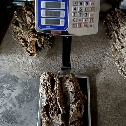 ?一物一拍一物一发