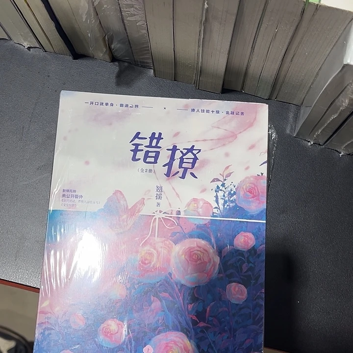 错撩全新全套两本